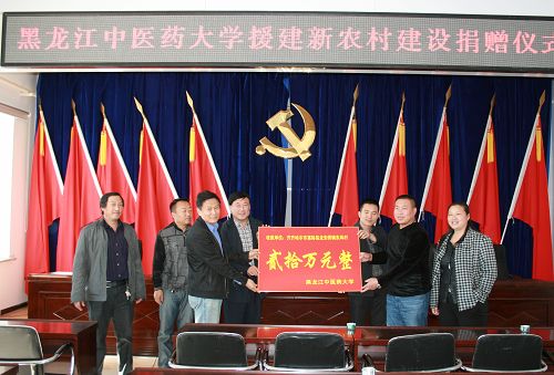 华体会平台(中国)赴齐齐哈尔市富裕县龙安桥镇开展帮扶帮建工作