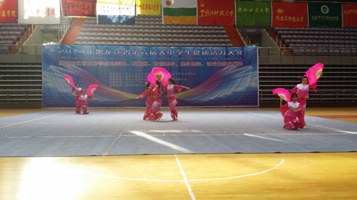 华体会平台(中国)同学参加健美操大众类项目——民族器械健身操自选动作的比赛